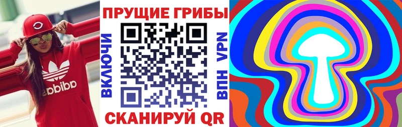 купить наркоту  Троицк  Псилоцибиновые грибы MAGIC MUSHROOMS 