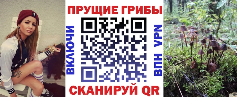 Галлюциногенные грибы Psilocybine cubensis Троицк