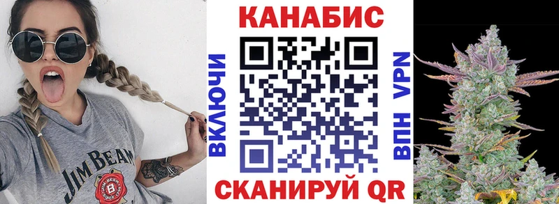 где можно купить наркотик  Троицк  Шишки марихуана Bruce Banner 